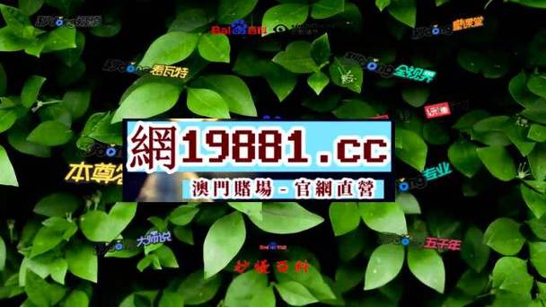 2024澳门正版资料免费看