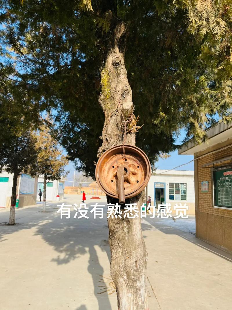2025年天天开彩免费大全和换下课铃学生大哭与换下课铃学生大哭视频