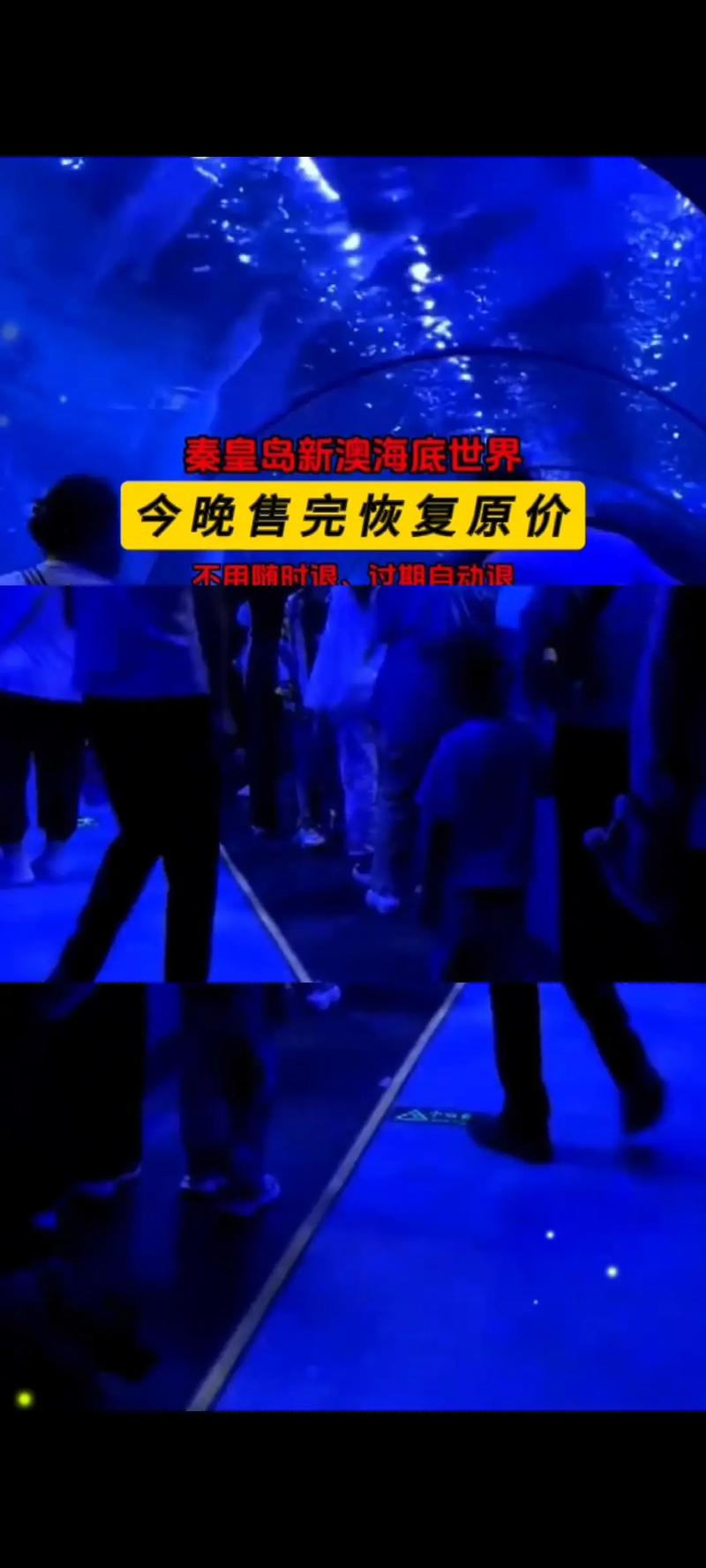 新澳2025最新资料大全论坛和因预言取消行程与因预言取消行程怎么办