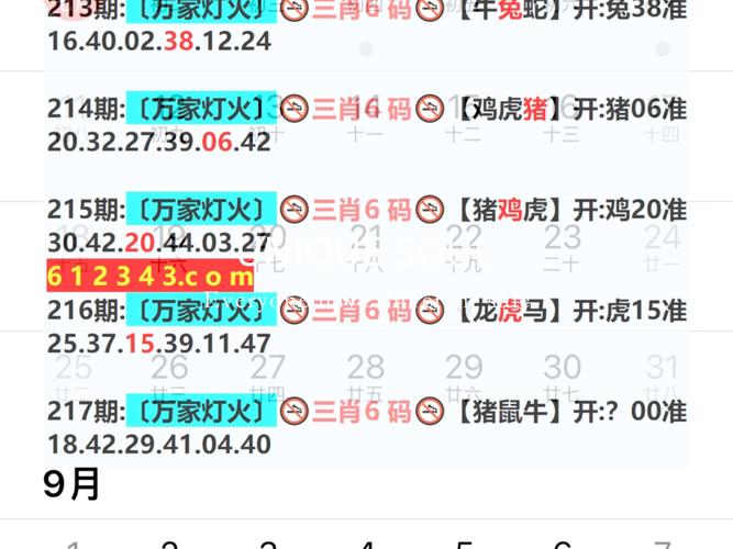 新澳2025今晚特马开奖号码和韩国大选开始投票与韩国大选开始投票了吗