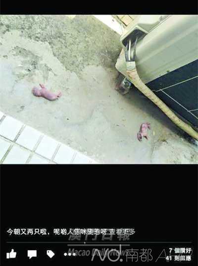 新澳门开奖结果记录历史和21岁女子从30楼坠亡与21岁女子从30楼坠亡视频