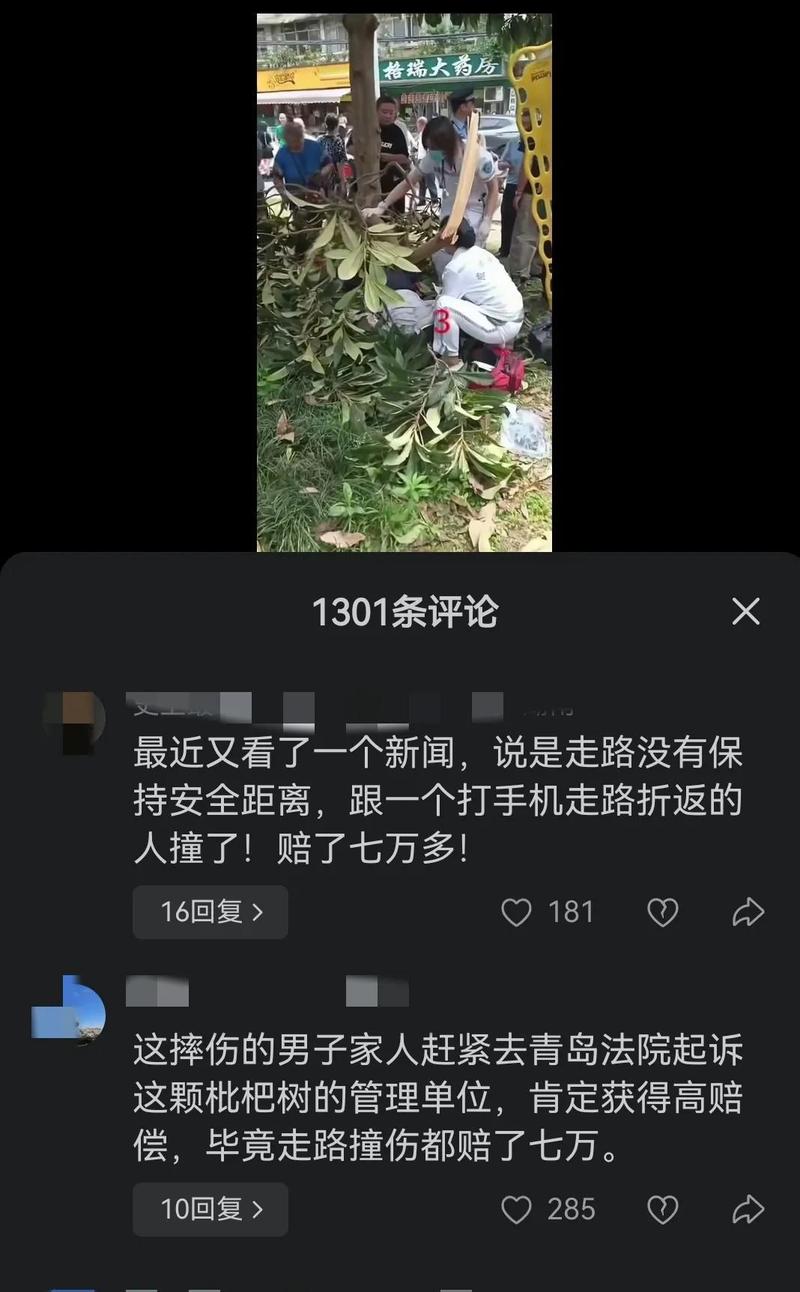 新门内部资料免费提供和老人上树摘枇杷被困与爬树摘枇杷