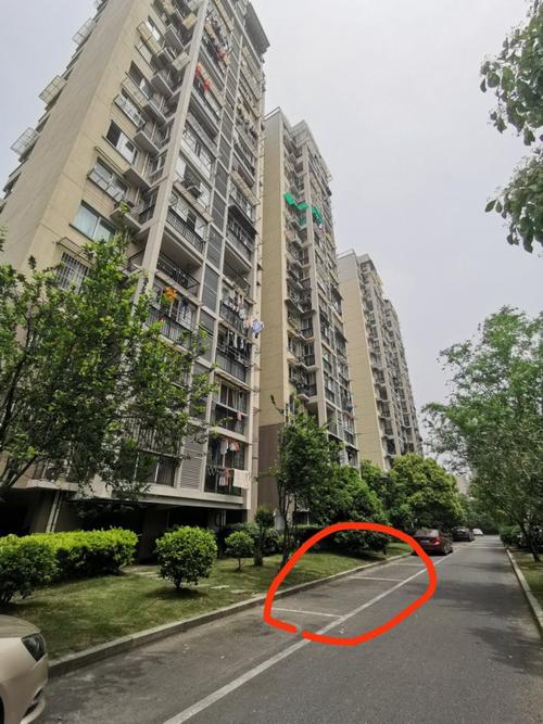 澳门研究生一码资料,和天降花盆砸路人脚边与花盆坠落将人砸死