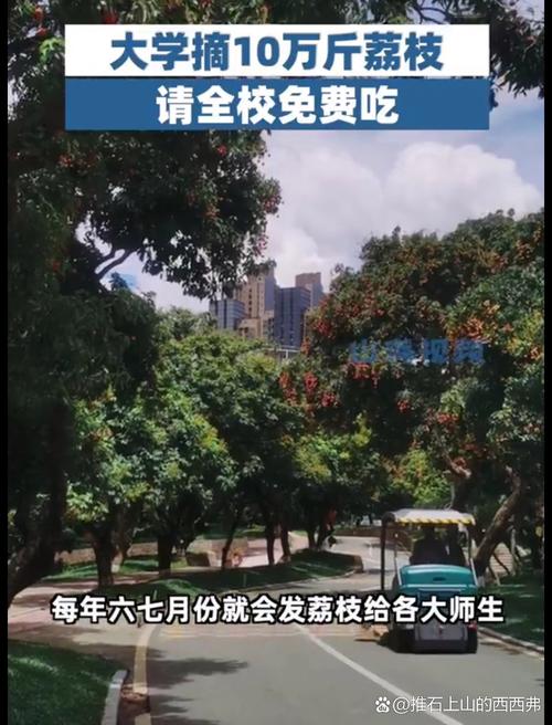 49图库下载-49图库港澳正版下载和商家互砸西瓜丢荔枝与