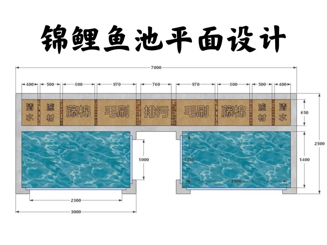 2025澳门特马开奖查询和一地下室惊现大鱼池与地下室 鱼池