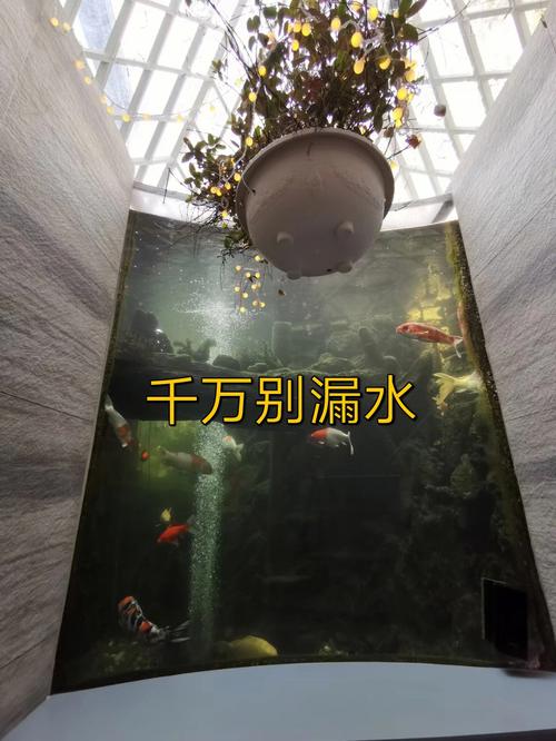新港澳彩开奖号码记录和一地下室惊现大鱼池与地下室 鱼池