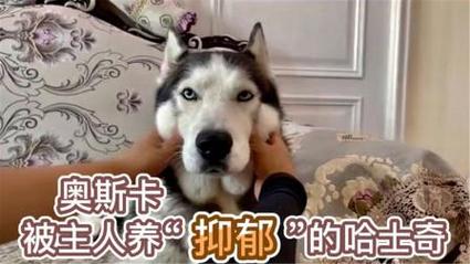 2025年6月9日 第4页